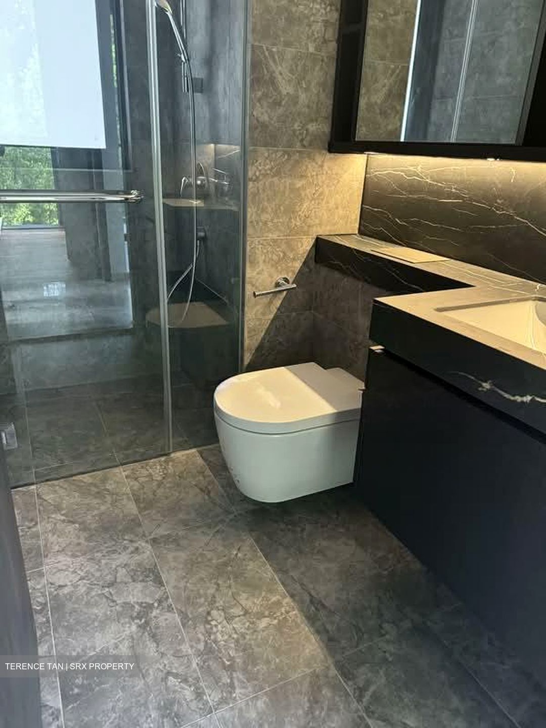Hyll On Holland (D10), Condominium #566425331